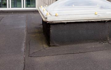 disadvantages of Hungladder flat roofs