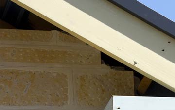 soffit repair Hungladder